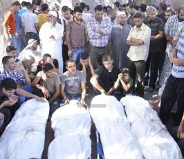 شهداء2014