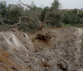 بالصور: آثار القصف الصهيوني على بيارة لعائلة حلس شرق حي الشجاعية