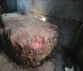 تجار غزيون يجمعون جلود الأضاحي  ‫(30008718)‬ ‫‬