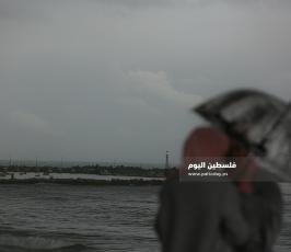منخفض  (5).JPG