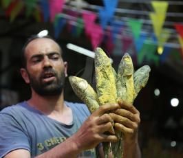 فسيخ فى أسواق غزة  ‫(38928901)‬ ‫‬.JPG