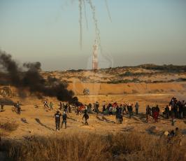 الحراك البحرى (37).JPG