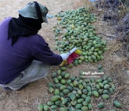 الصبر (3).jpg