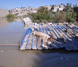 عدسة فلسطين اليوم الإخبارية تتجول بين الأحياء المنكوبة بشارع النفق