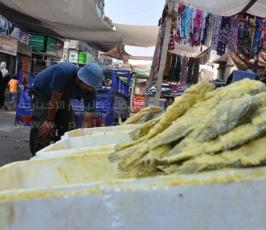 "الفسيخ".. الأكلة التي تُزين عيدَ الغزيين