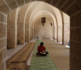 جلسات القرآن الكريم من المسجد العمرى الكبير بغزة ‫(30176658)‬ ‫‬