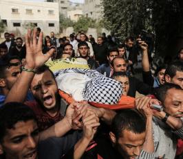 عدسةفلسطين اليوم خلال 2016 ‫(38011422)‬ ‫‬