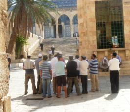 مستوطنون يواصلون اقتحاماتهم وتدنيسهم للمسجد الاقصى برمضان