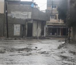 منخفض ‫(39191055)‬ ‫‬