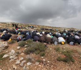 خاص فلسطين اليوم...مواجهات بين أهالي بلدة دير جرير وقطعان المسنوطنين