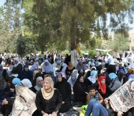 كيف قضي المصلون أوقاتهم في الاقصى المبارك في ظل موجة الحر الشديدة