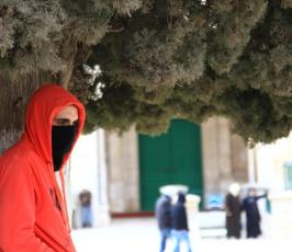المرابطون في ساحات المسجد الاقصى يمنعون اعضاء حزب الليكود من تدنيس الاقصى