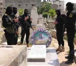  بهاء أبو العطا (10).JPG