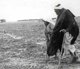 نكبة فلسطين .. ما لا تنساه الذاكرة