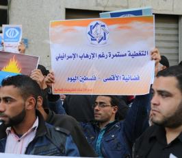 نشطا وأصدقاء فضائية فلسطين اليوم ينظموا وقفة تضامنية اليوم  ‫(1)‬