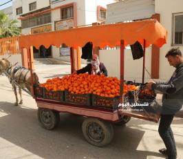 عربات الخضار للشوارع (9).JPG