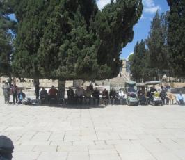 تواجد فلسطينى مكثف في المسجد الاقصى للتصدي للمستوطنين
