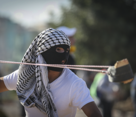 مواجهات البيرة ‫(29811084)‬ ‫‬