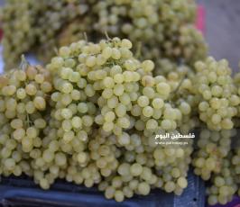 عنب ‫(174473810)‬ ‫‬.jpg