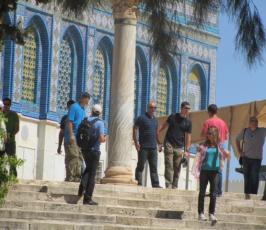 صور مجندات ومخابرات ومستوطنين وسياح يقتحمون المسجد الأقصى