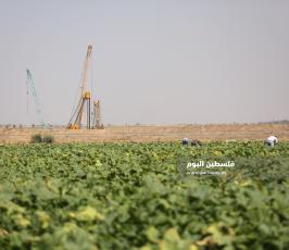 مزارعين على حدود غزة (3).JPG