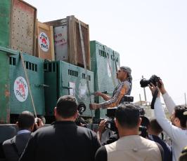 نقل عشرات الحيوانات البرية من غزة إلى الأردن عبر حاجز بيت حانون ‫(43581955)‬ ‫‬.JPG