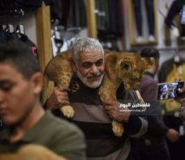 اسد1 ‫(322583035)‬ ‫‬.jpg