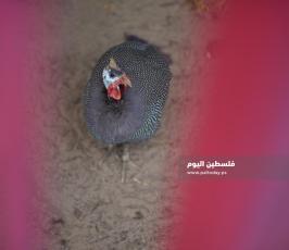 حديقة حيوان ‫(360031253)‬ ‫‬.JPG