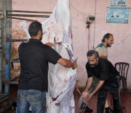 الجهاد تنفذ مشروع أضاحي العيد بغزة