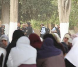 المرابطات في المسجد الأقصى: قصص لبطولات يومية
