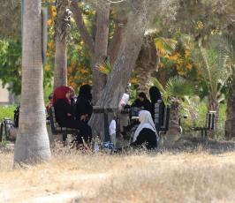 معبر رفح البرى  ‫(31421855)‬ ‫‬
