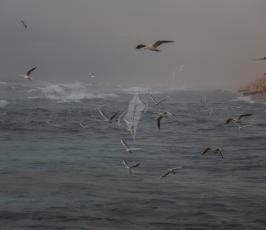 منخفض ‫(38928905)‬ ‫‬
