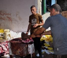 الجهاد تنفذ مشروع أضاحي العيد بغزة