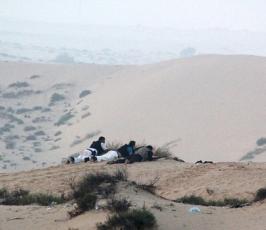 الجيش المصري يستنفر قواته في سيناء لمهاجمة لتطهيرها من المسلحين الإرهابيين