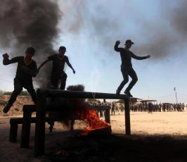 مخيم فتوة النصر ‫(34865665)‬ ‫‬