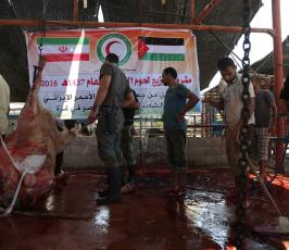  توزع لحوم الأضاحي على 25 ألف أسرة فلسطينية (6)