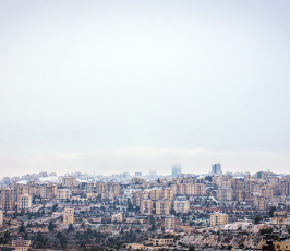 الزائر الأبيض يحل ضيفاً على مدينتي رام الله و البيرة ‫(1)‬ ‫‬