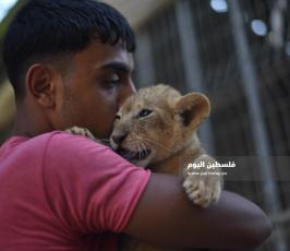 اشبال رفح ‫(302713015)‬ ‫‬.JPG