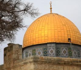 المرابطون في ساحات المسجد الاقصى يمنعون اعضاء حزب الليكود من تدنيس الاقصى