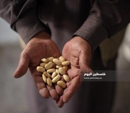 بنك البذور ‫(174278533)‬ ‫‬.jpg