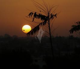 عدسةفلسطين اليوم خلال 2016 ‫(38011417)‬ ‫‬