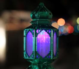 فانوس رمضان ‫(29717920)‬ ‫‬