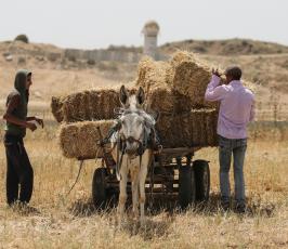 مزارعون ‫(30401940)‬ ‫‬