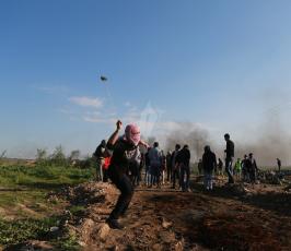 عدسةفلسطين اليوم خلال 2016 ‫(38011419)‬ ‫‬