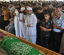 شهداء 2014