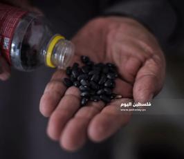 بنك البذور ‫(174278528)‬ ‫‬.jpg