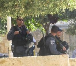 مستوطنون يقتحمون باحات المسجد الأقصى