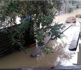  بالصور:جانب من آثار المنخفض الجوي في حي الزيتون شرق مدينة غزة