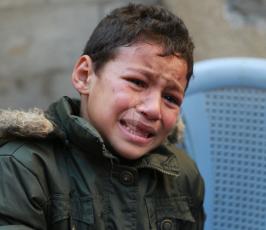 جنازة الشهيد هانى وهدان ‫(29024653)‬ ‫‬