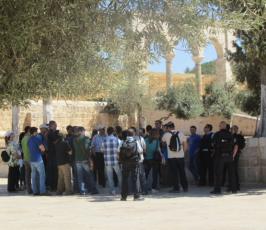 صور مجندات ومخابرات ومستوطنين وسياح يقتحمون المسجد الأقصى